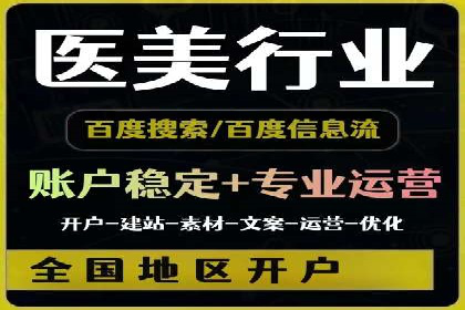 成功案例解析：SEO与SEM协同营销策略